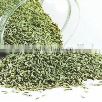 grade one Fennel seed exporters