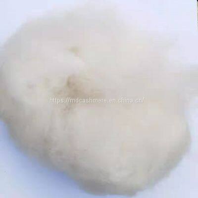 Chinese Dehaired Cashmere Fibre Inner Mongolia Xinjiang Cashmere 15.50micron