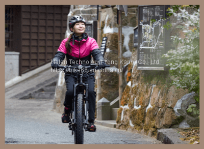 Factory Supply Electric Bike 48V 60V 350w 500w 10ah 13ah Two 2 Seat Electric Cycle for Cargo Delivery photo-4