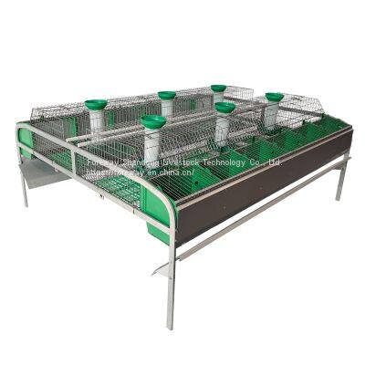 Single-layer Rabbit Breeding-fattening Cage (6,12) photo-2