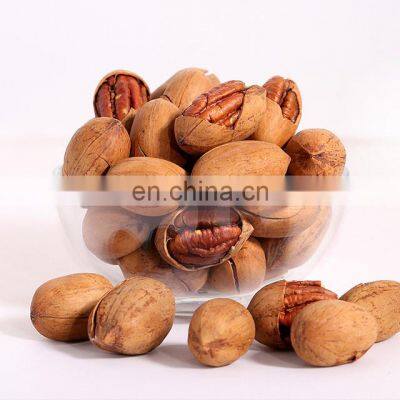 Top Grade Organic Pecan Nuts Pecan Nut Low Prices Pecan Nuts in Shell/Pecan Nuts/exotic Snacks for Thailand