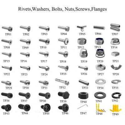 bolts nuts rivets flanges washers screws spring washers machine screws self drillings