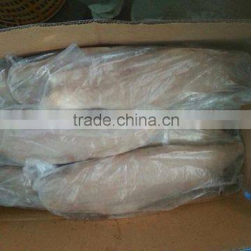 Frozen Grey Mullet Fillets PBO &PBI, Skin-on, Scaled, Chemical Free