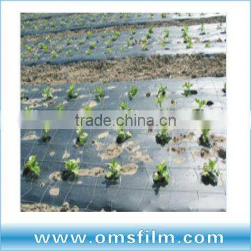 Agricultural plastic film with hole punch