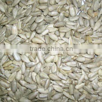 Sunflower seed kernel 2013 crop