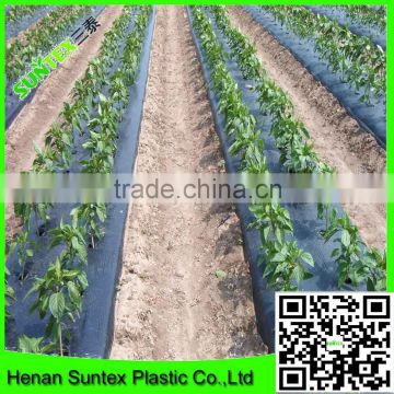 factory price 45micron transparent pe plastic mulch film