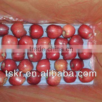 fruit red huaniu apple from china