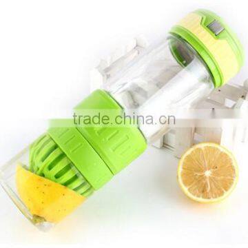 Bpa Free Food Grade Fruit Infuser Glass Fruit Infuser Sport Water Bottle 500ml photo-3
