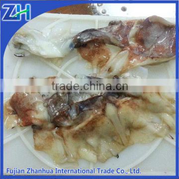 Processed giant squid neck, tentacle and fillet from China