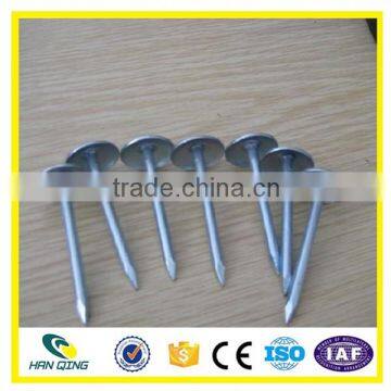 Umbrella head Roofing Nails Anping Hanqing Manufacturer