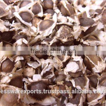 bulk quantity moringa seeds suppliers from india