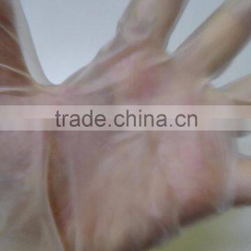 Disposable Vinyl Glove Powdered/Powder-free photo-2