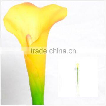 Decorative Calla Lily , bright yellow