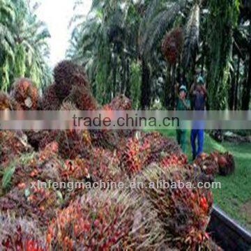 Huaxian Xinfeng 2013 new technology palm oil workshop