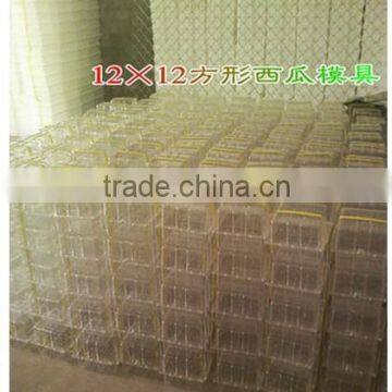 2014 popular high quality square watermelon transparent plastic box mould CHINA