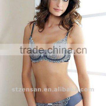 ladies women bra big lace bra mesh bra and panty