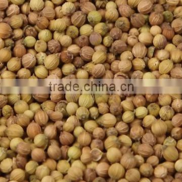 crop coriander seeds