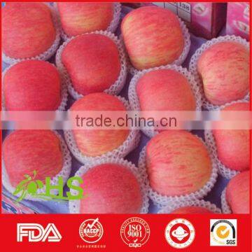 Export China Fresh Red Fuji Apples With Great Quality photo-2