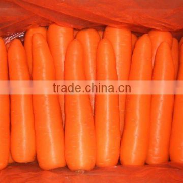 fresh fruits and fresh vegetables 2014 from china