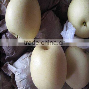 new crop China fresh golden pear for sale