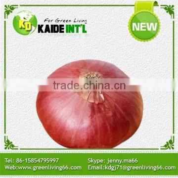 Jining red onion