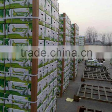 Chines garlic supplier /Chinese garlic factory