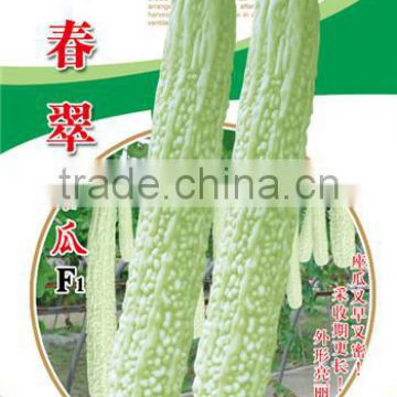 Chinese vegetable seeds Hybrid bitter melon seeds Bitter gourd seeds for growing-Spring cui F1