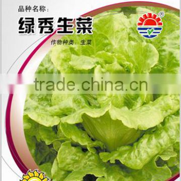 Chinese vegetable hybrid Lettuce Seed green vegetable seeds for sale-Green Show