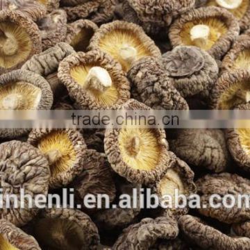 dried shiitake mushroom