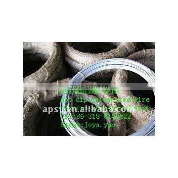 Galvanized Wire / Hot Dipped Galvanized Wire / Electro Galvanized Wire