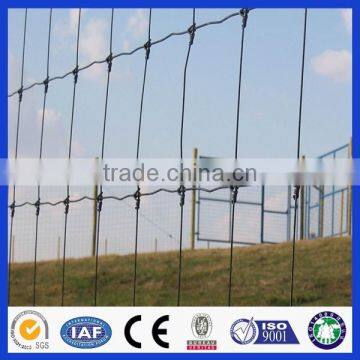 Livestock Field Fence With High Zinc Coating photo-4