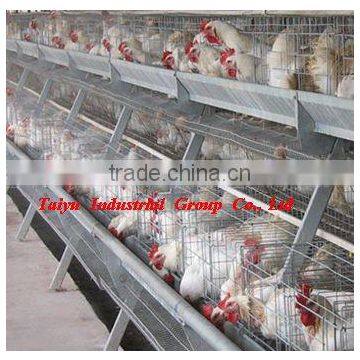 TAIYU-1 cages for laying hens