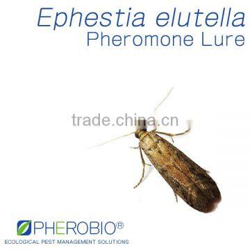 Ephestia elutella Pheromone Lure & Trap Combo, Cacao Moth Tobacco Moth & Warehouse Moth Lure & Trap