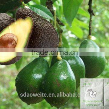 Ethylene Ripener for Avocado