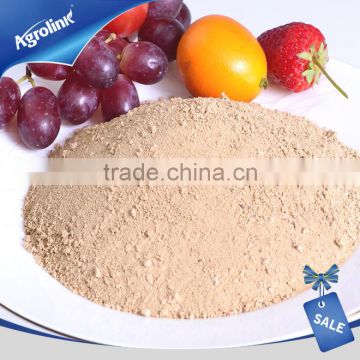 China Amino Acid Manufacture