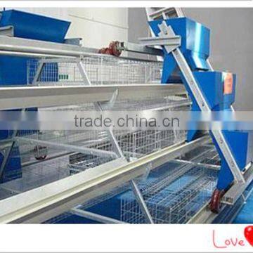 professional chicken feeding machine for chicken farms from china