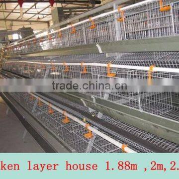 Factory direct sale automatic layer chicken cage for Chicken farm