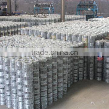 High Quality Hot Sale Hot Dipped Galvanized Steel Deer Wire Mesh Farm Fence (ISO9001;MANUFACTURER) photo-4