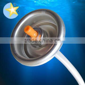 Cleaning Carburetor Can Valve With Actuator photo-2
