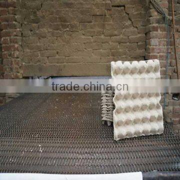 Waterproof Package 30 Pieces Paper Egg Tray photo-3
