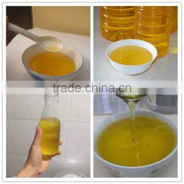 Avocado Oil Press Machine for Home Use photo-3