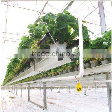 Multi Span Greenhouse Agricultural Vegetable Greenhouse photo-3