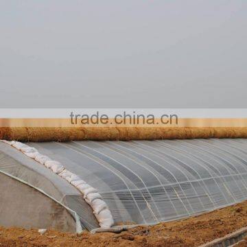 Galvanized Iron for Greenhouse photo-4