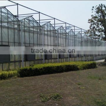 Best service commercial glass greenhouses with ISO quality guaranteed