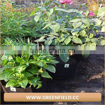Durable High Quality Felt Root Tree Planting Bag China Supplier photo-3