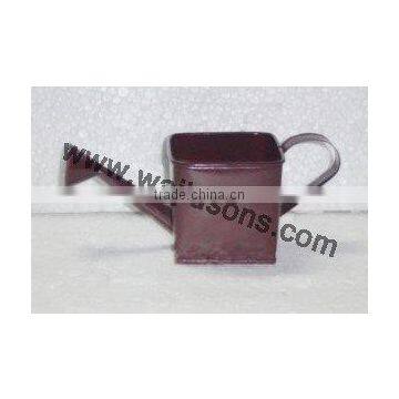 Decorative Stylish Watering Canes