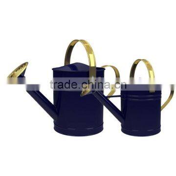5L High Quality Garden Decoration/ Zinc Flower Planter Pot & Watering can/ Brass Rosette