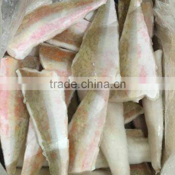 Red Gurnard Fillet photo-4