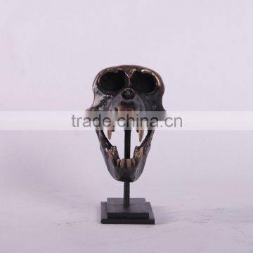 Macaque Skull on Base photo-4