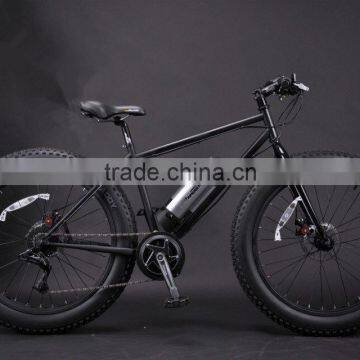 Electric fat bike